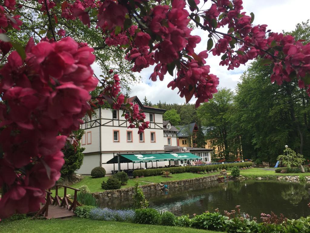 Spa & Wellness Hotel Harmonie Mariánské Lázně Extérieur photo